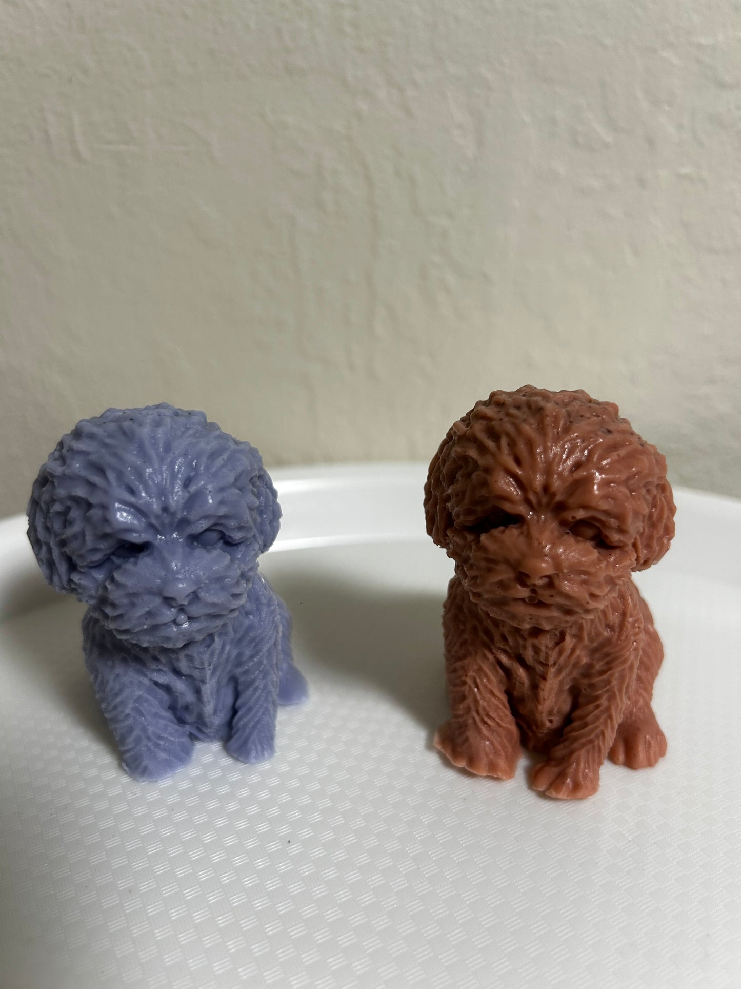 Puppies