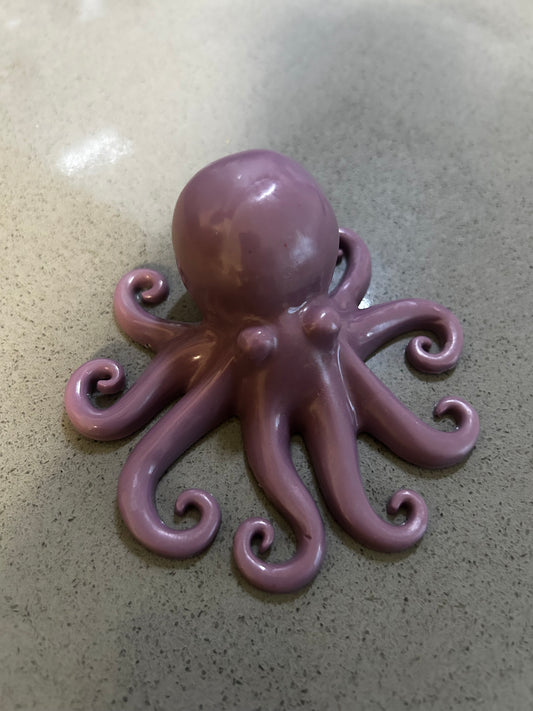 Octopus